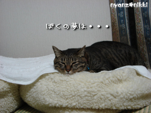 つくつく★ぼくの夢は?_d0355333_14132940.jpeg