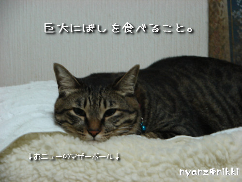 つくつく★ぼくの夢は?_d0355333_14133069.jpeg