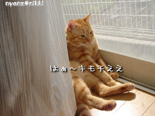 つくつく★ぼくの夢は?_d0355333_14133087.jpeg