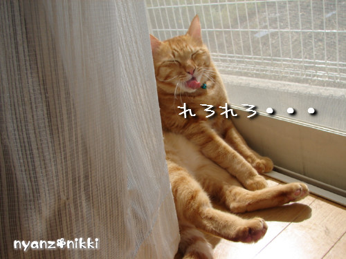 つくつく★ぼくの夢は?_d0355333_14133097.jpeg