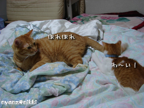 つくつく★ぼしゅうちう_d0355333_14133164.jpeg