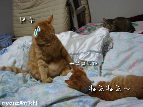 つくつく★ぼしゅうちう_d0355333_14133316.jpeg