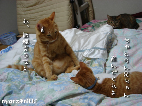 つくつく★ぼしゅうちう_d0355333_14133370.jpeg