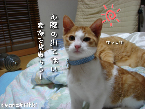 つくつく★ぼしゅうちう_d0355333_14133424.jpeg