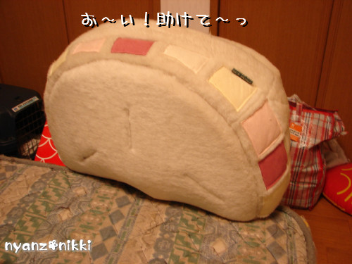 つくつく★ワクチンなんかへっちゃら!_d0355333_14133603.jpeg