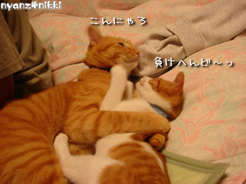 つくつく★ワクチンなんかへっちゃら!_d0355333_14133617.jpeg