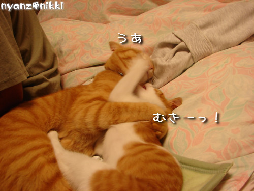 つくつく★ワクチンなんかへっちゃら!_d0355333_14133634.jpeg