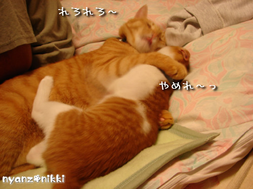 つくつく★ワクチンなんかへっちゃら!_d0355333_14133667.jpeg
