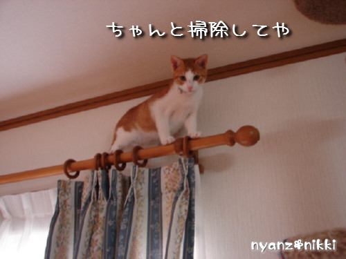 つくつく★明日の予定は?_d0355333_14134231.jpeg
