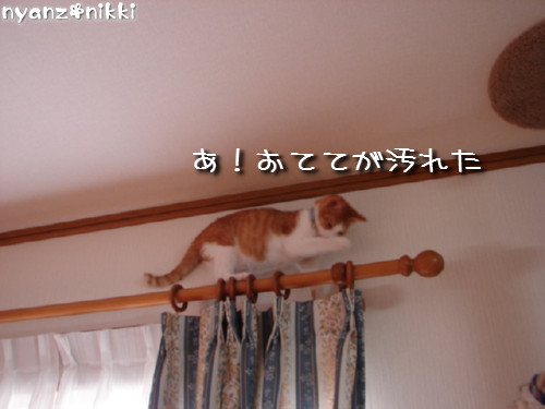 つくつく★明日の予定は?_d0355333_14134240.jpeg