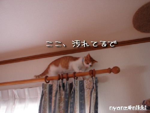 つくつく★明日の予定は?_d0355333_14134242.jpeg