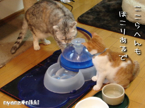 つくつく★明日の予定は?_d0355333_14134386.jpeg
