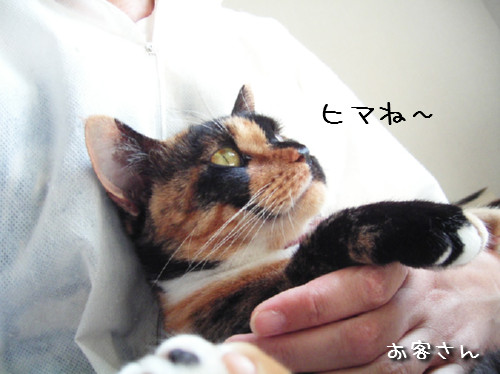 お客さんブログの紹介~♪_d0355333_14134439.jpeg