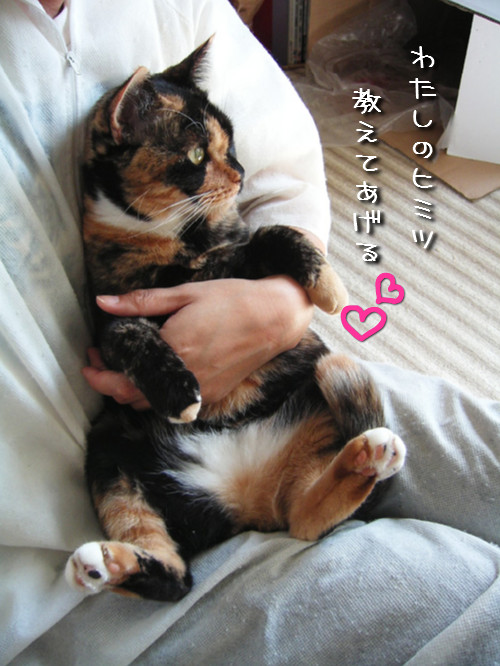 お客さんブログの紹介~♪_d0355333_14134534.jpeg