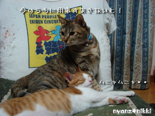 ララちゃん流子育てのススメ_d0355333_14134618.jpeg