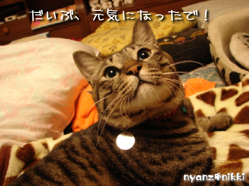 元気回復~_d0355333_14134651.jpeg
