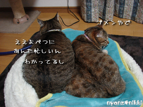 ララちゃん流子育てのススメ_d0355333_14134743.jpeg