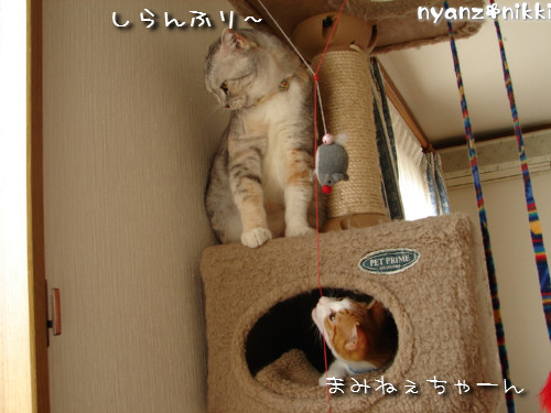 つくつく★秋のかおりは?_d0355333_14134943.jpeg
