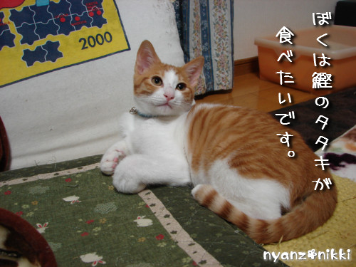 不思議なおみやげ_d0355333_14135205.jpeg