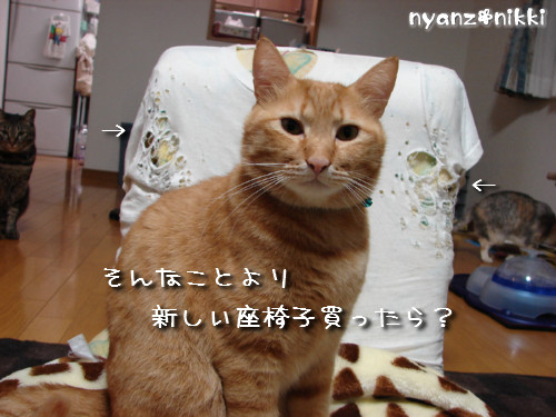 不思議なおみやげ_d0355333_14135212.jpeg