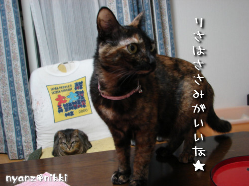不思議なおみやげ_d0355333_14135272.jpeg