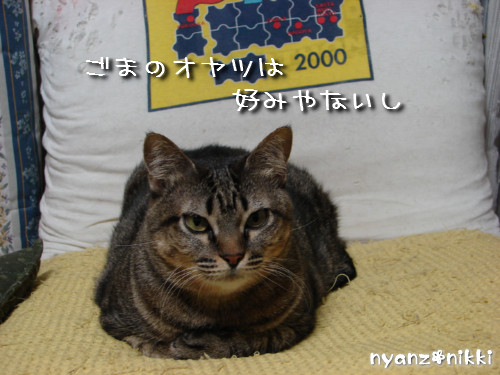 不思議なおみやげ_d0355333_14135276.jpeg