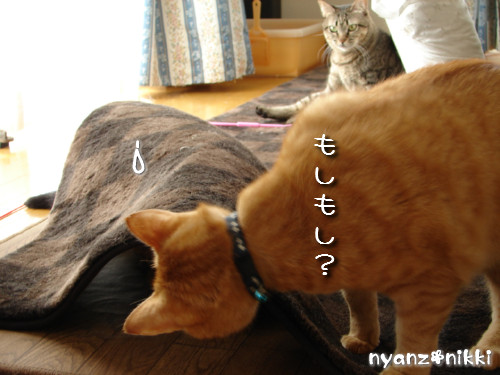 絶好調?!_d0355333_14135308.jpeg