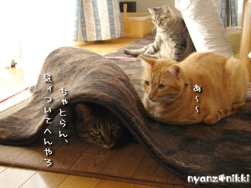 絶好調?!_d0355333_14135312.jpeg