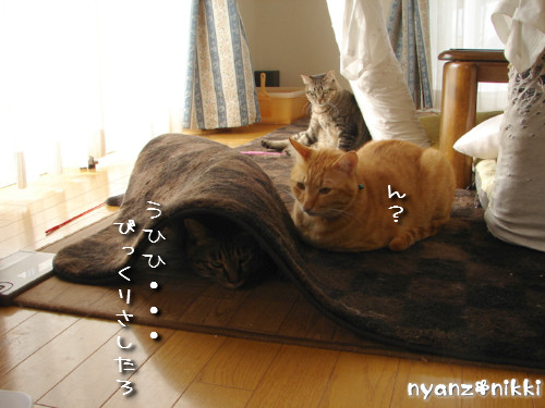 絶好調?!_d0355333_14135360.jpeg