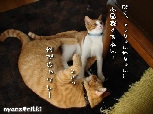 絶好調?!_d0355333_14135419.jpeg
