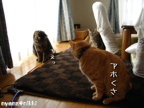 絶好調?!_d0355333_14135451.jpeg