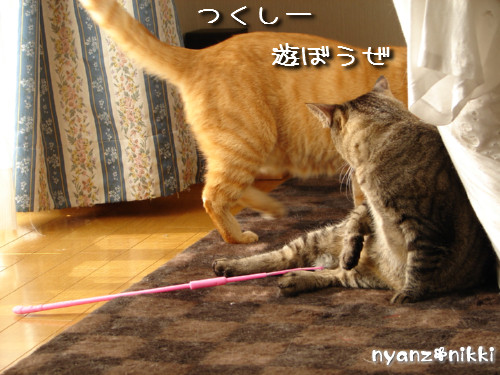絶好調?!_d0355333_14135472.jpeg