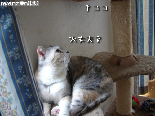 元気だから、つい、ね。_d0355333_14135685.jpeg