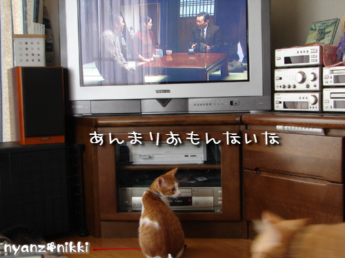 テレビみようよ!_d0355333_14135703.jpeg