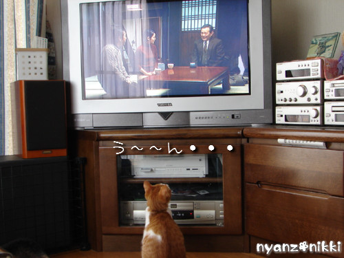 テレビみようよ!_d0355333_14135770.jpeg
