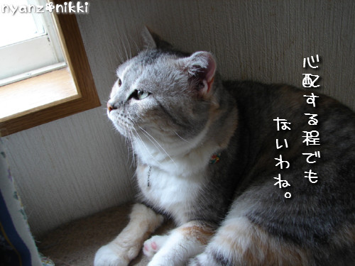 元気だから、つい、ね。_d0355333_14135784.jpeg