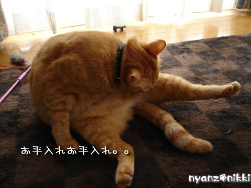 テレビみようよ!_d0355333_14135823.jpeg