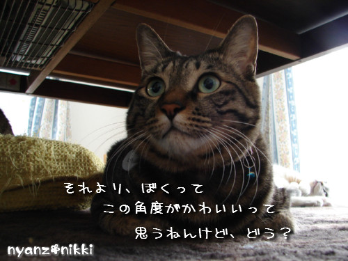 テレビみようよ!_d0355333_14135836.jpeg
