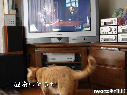 テレビみようよ!_d0355333_14135840.jpeg