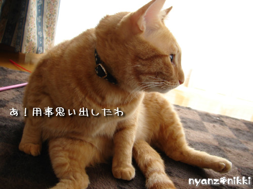 テレビみようよ!_d0355333_14135848.jpeg