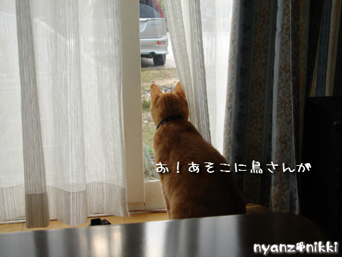 テレビみようよ!_d0355333_14135905.jpeg