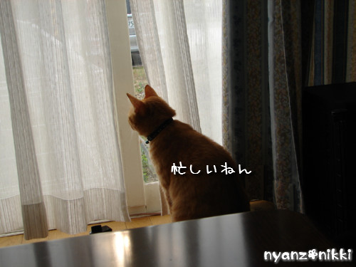 テレビみようよ!_d0355333_14135928.jpeg