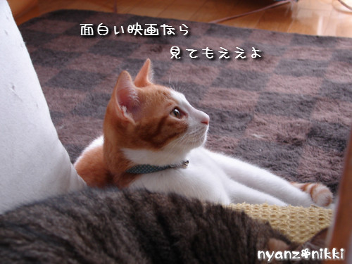 テレビみようよ!_d0355333_14135930.jpeg