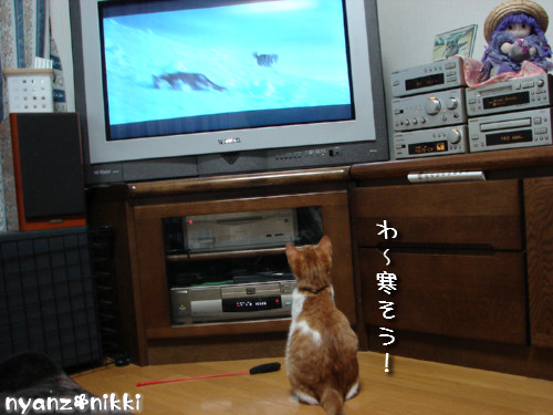 つくたんと映画みよう!_d0355333_14135942.jpeg