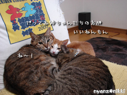 テレビみようよ!_d0355333_14135966.jpeg