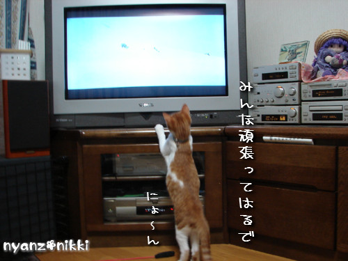 つくたんと映画みよう!_d0355333_14140008.jpeg