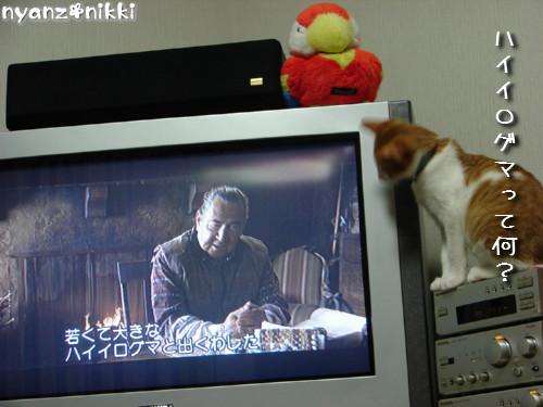 つくたんと映画みよう!_d0355333_14140065.jpeg