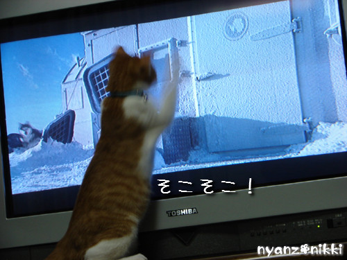 つくたんと映画みよう!_d0355333_14140082.jpeg