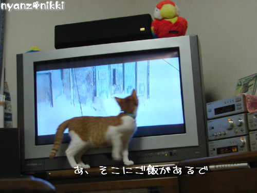 つくたんと映画みよう!_d0355333_14140092.jpeg
