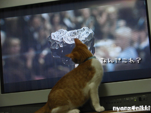 つくたんと映画みよう!_d0355333_14140108.jpeg